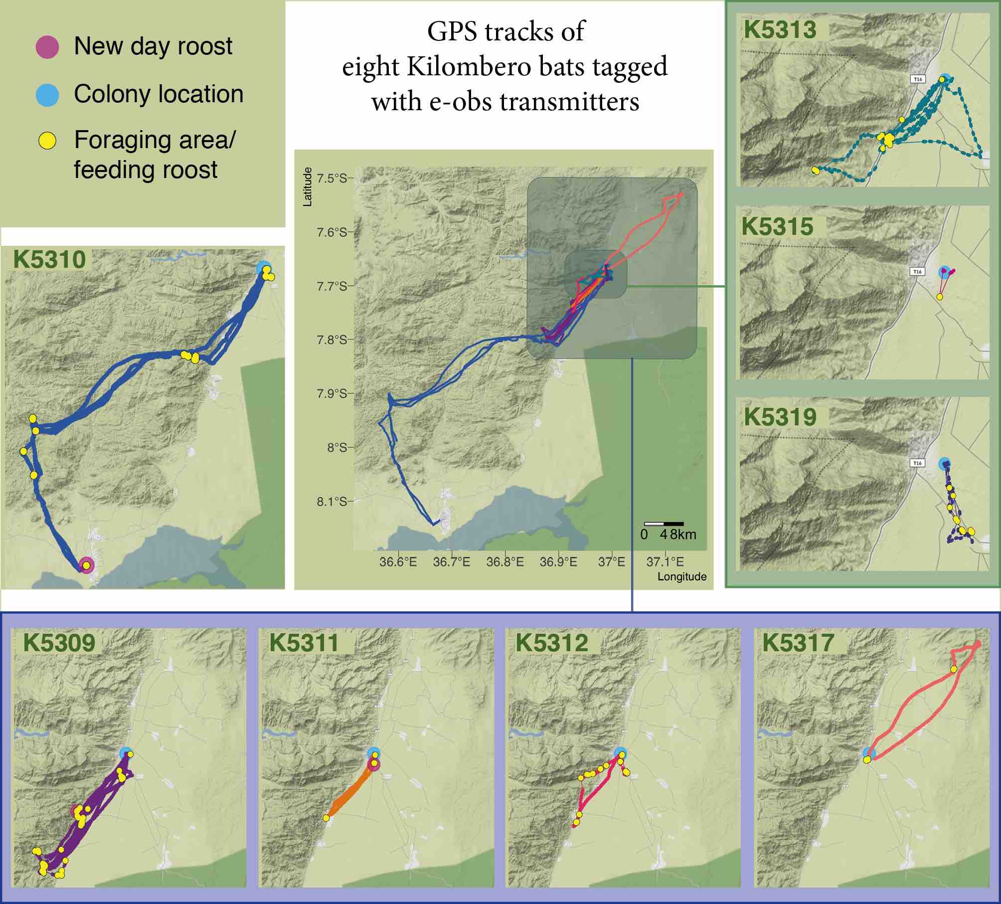 Data Visualizations Nistara